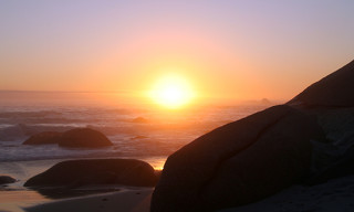 Cape Town – finalist in the WWF we love cities campaign