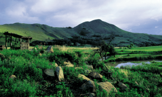 Things to do in Dullstroom