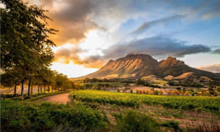 Things you’ll learn when you visit South Africa