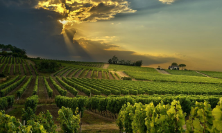 The best South African travel experiences