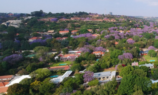 Exploring Johannesburg