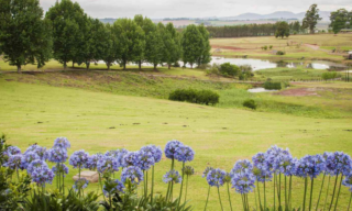 Where to go in South Africa during spring