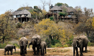 Reasons to visit South Africa in winter