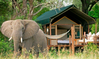 Best glamping spots in South Africa