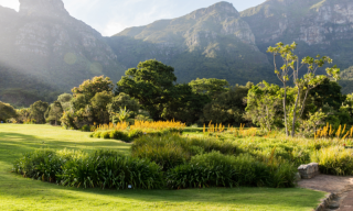 Best picnic spots in Cape Town