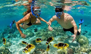 Underwater fun: The best snorkelling spots in South Africa