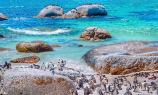 Unique experiences you’ll only have in South Africa