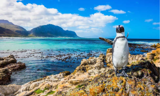 Cities with the most expats in South Africa