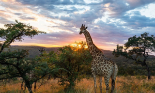 Fall in love with South Africa: 5 Amazing places to visit during autumn!