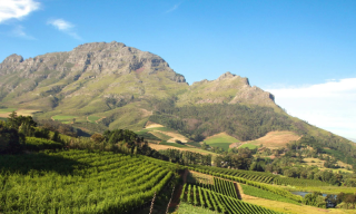 From safari to surf: Unforgettable outdoor activities in South Africa