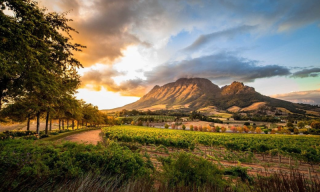 Exploring South Africa’s Wine Routes: A Taste of Elegance
