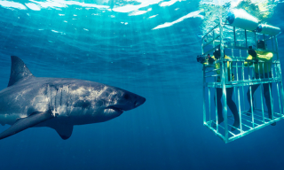 Thrills & Chills: Adventure sports in South Africa