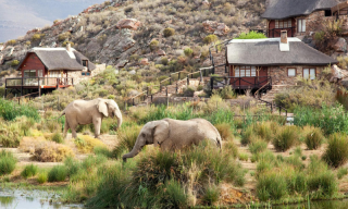 Adventure travel in South Africa: Thrills, chills, & safari spills￼