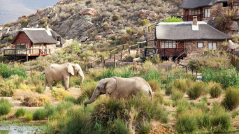 Adventure travel in South Africa: Thrills, chills, & safari spills￼